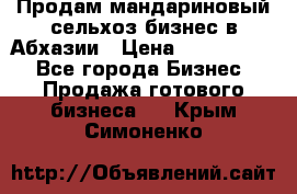 Продам мандариновый сельхоз-бизнес в Абхазии › Цена ­ 1 000 000 - Все города Бизнес » Продажа готового бизнеса   . Крым,Симоненко